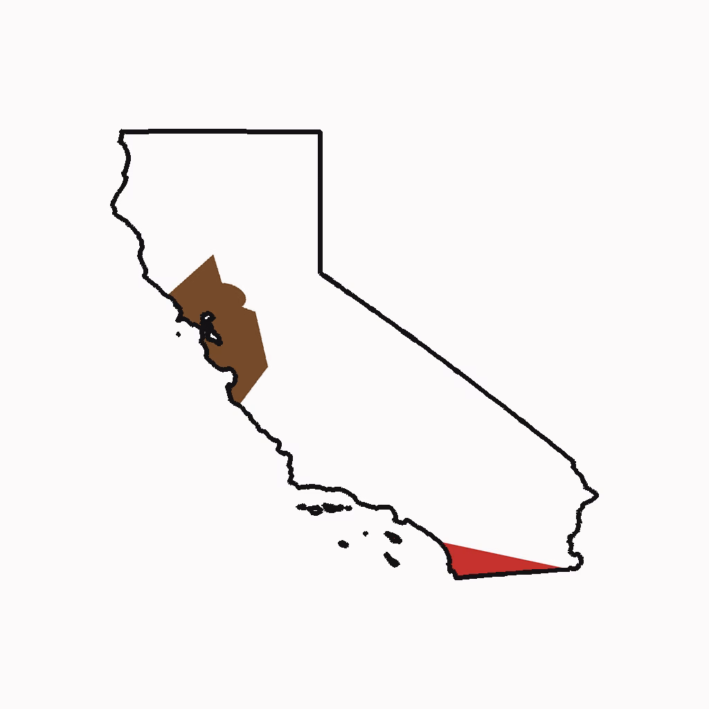 California Medical Billing Practice Overview