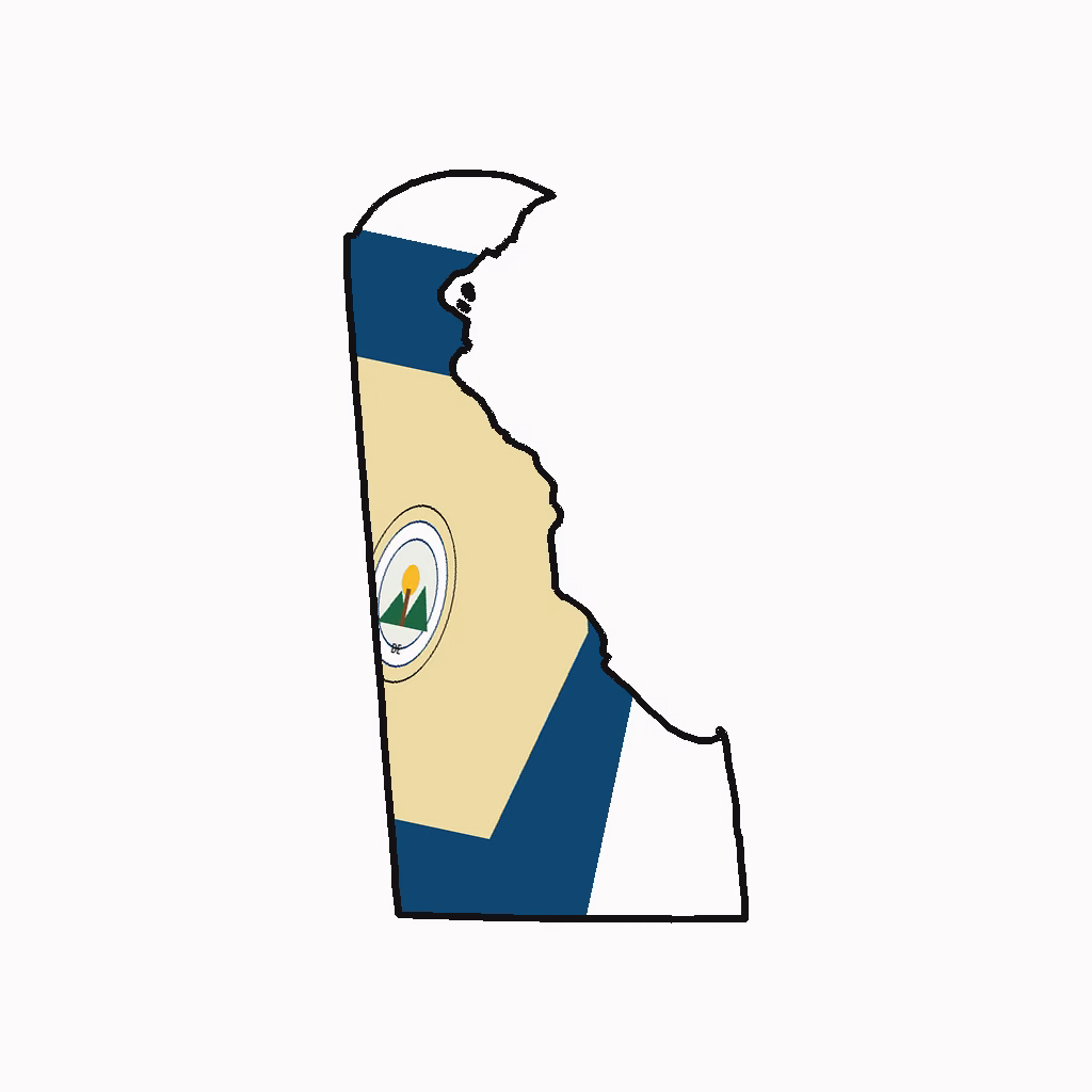 Delaware Medical Billing Practice Overview