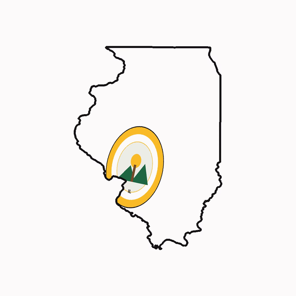 Illinois Medical Billing Practice Overview