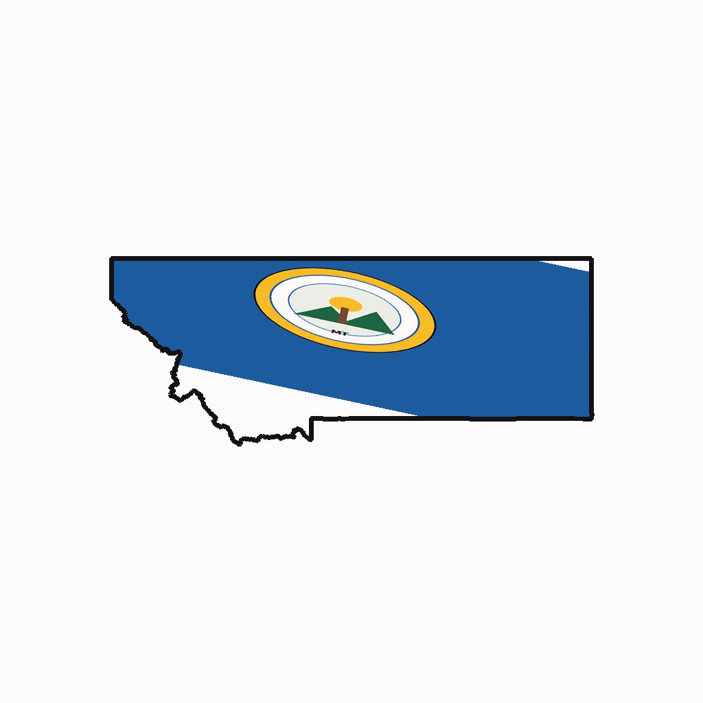Montana Medical Billing Practice Overview