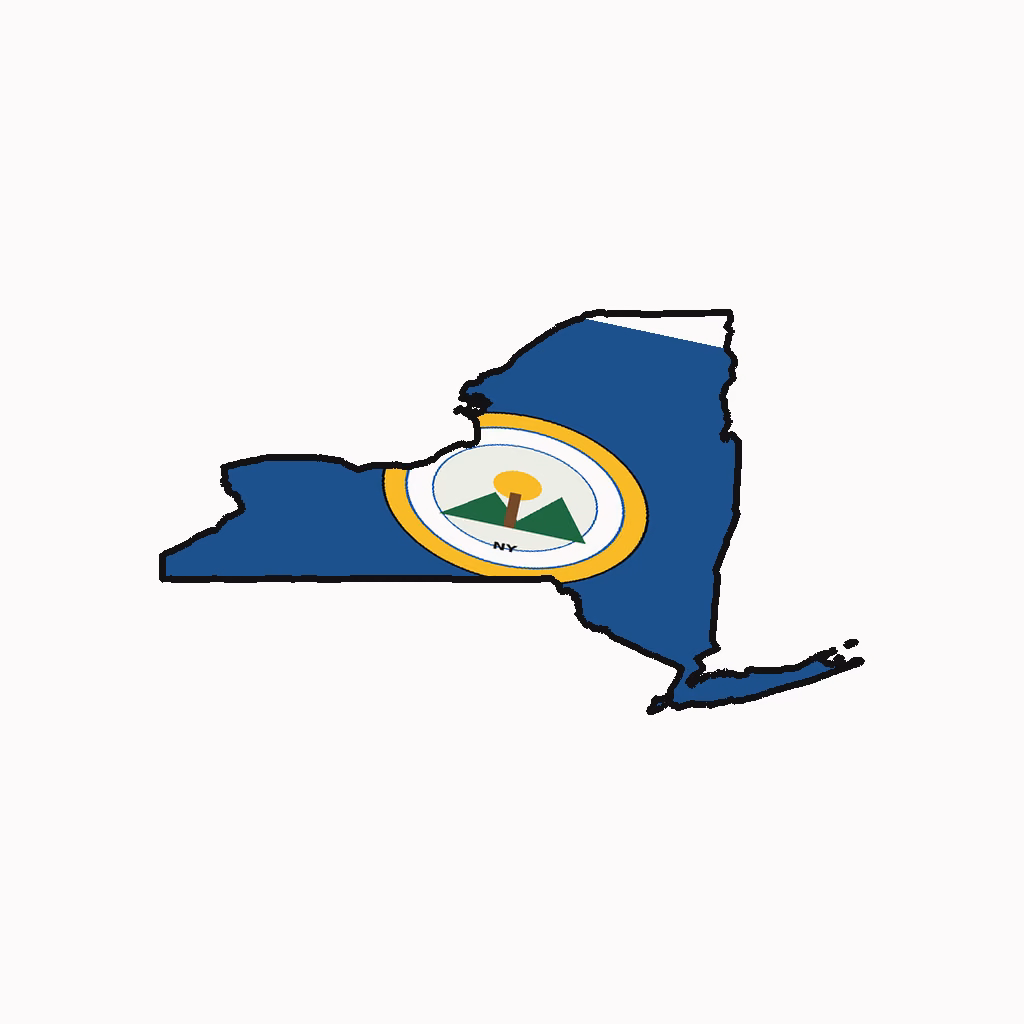 New York Medical Billing Practice Overview