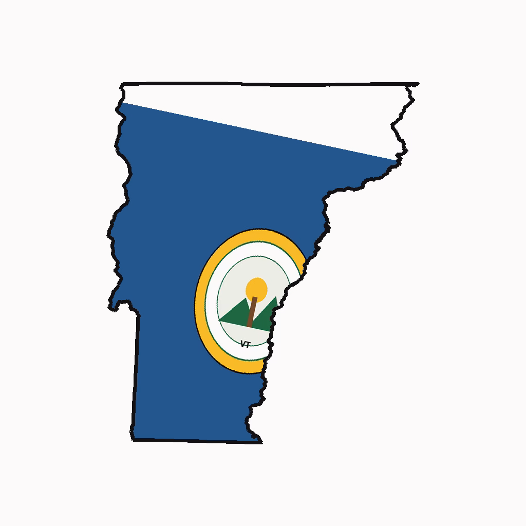 Vermont Medical Billing Practice Overview