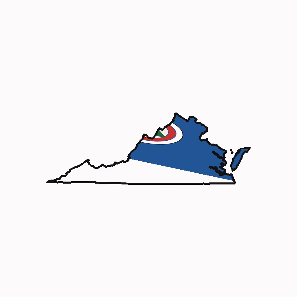Virginia Medical Billing Practice Overview