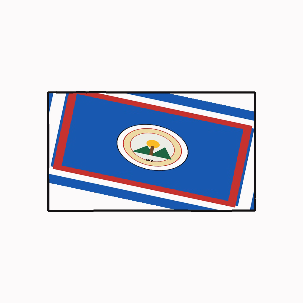 Wyoming Medical Billing Practice Overview