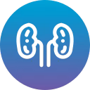 Nephrology