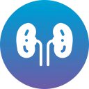 Urology